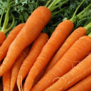 Carottes râpées