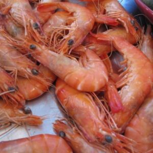 Bouquet de crevettes